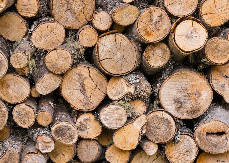 Legado de montaña: Acopio de leña.