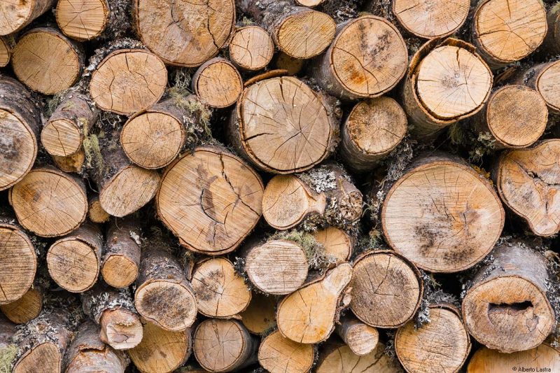 Legado de montaña: Acopio de leña.
