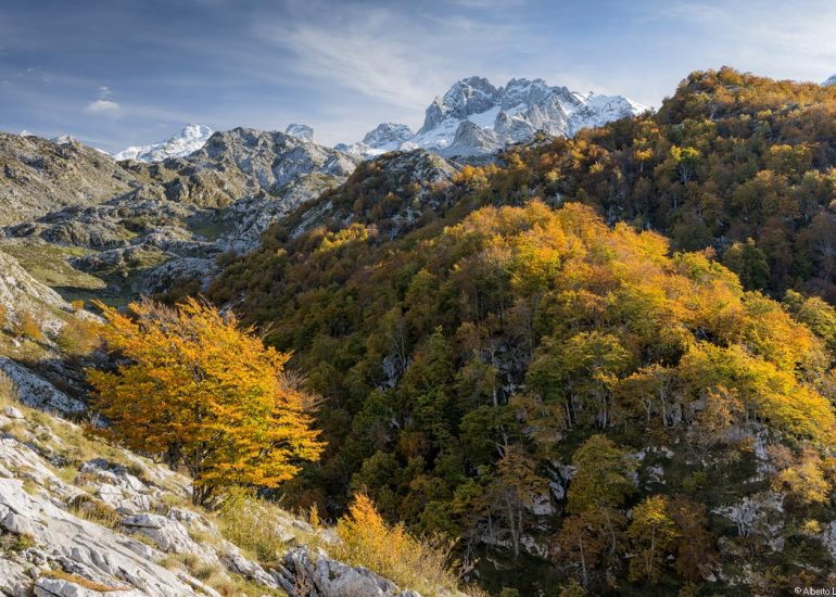 Picos de Europa Otoño