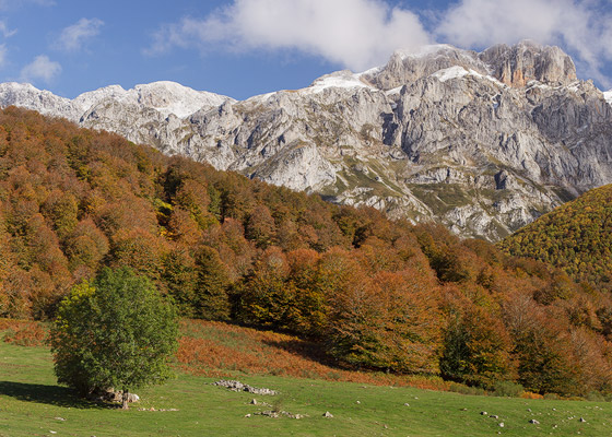 La idílica majada de Vegabaño.