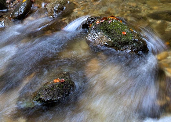 Arroyo otoñal de montaña.