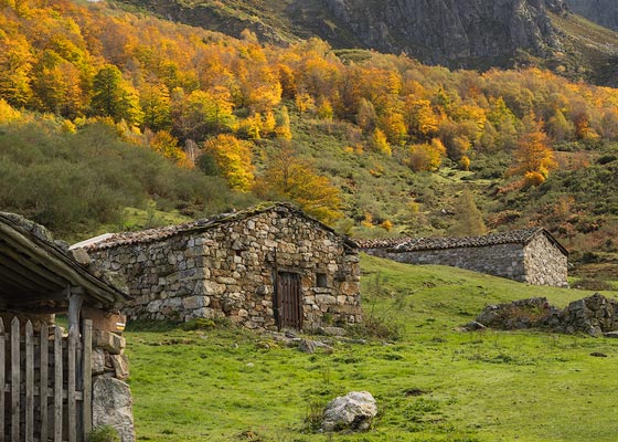 Braña de Gumial, Aller, Asturias.